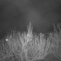 Webcam_20210313-214500