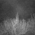Webcam_20210318-050000
