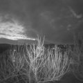 Webcam_20210318-054500