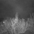 Webcam_20210320-193000