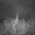Webcam_20210322-053000