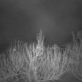 Webcam_20210323-053000