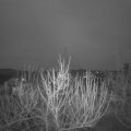 Webcam_20210323-054500