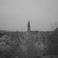 Webcam_20210323-060000