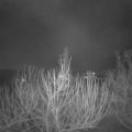 Webcam_20210324-050000
