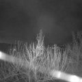 Webcam_20210325-050000