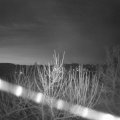 Webcam_20210325-051500
