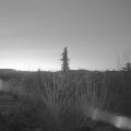 Webcam_20210325-054500