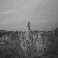 Webcam_20210325-191500