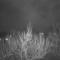 Webcam_20210325-210000