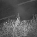 Webcam_20210401-201500