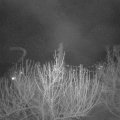 Webcam_20210401-214500