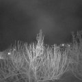 Webcam_20210406-201500