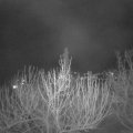 Webcam_20210406-203000