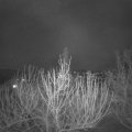 Webcam_20210408-200000