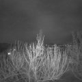 Webcam_20210409-200000