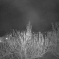 Webcam_20210409-201500