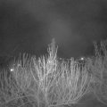 Webcam_20210409-204500