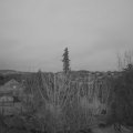 Webcam_20210411-193000