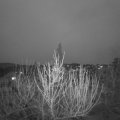 Webcam_20210411-194500