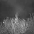 Webcam_20210411-203000