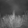 Webcam_20210411-204500