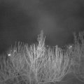 Webcam_20210411-220000