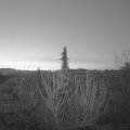 Webcam_20210413-050000