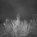 Webcam_20210413-201500