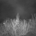 Webcam_20210413-203000