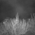 Webcam_20210413-204500