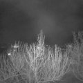 Webcam_20210413-210000