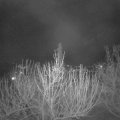 Webcam_20210413-211500