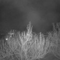 Webcam_20210413-213000