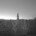 Webcam_20210414-050000