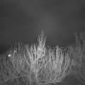 Webcam_20210415-201500