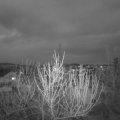Webcam_20210416-200000