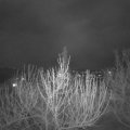 Webcam_20210416-201500