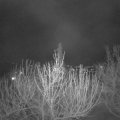 Webcam_20210416-203000