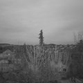 Webcam_20210417-194500