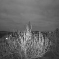 Webcam_20210417-200000