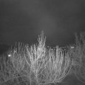 Webcam_20210417-201500