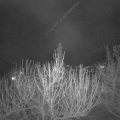 Webcam_20210417-203000