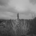 Webcam_20210418-194500