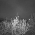 Webcam_20210419-201500