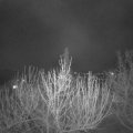 Webcam_20210419-203000