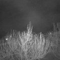 Webcam_20210421-211500