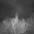 Webcam_20210423-220000