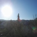 Webcam_20210425-071500