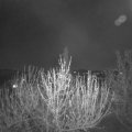 Webcam_20210425-213000